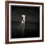 Untitled-Yaroslav Vasiliev-Apostol-Framed Photographic Print