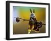 Untitled-Eyal Bussiba-Framed Photographic Print