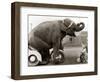 Untitled-null-Framed Photographic Print