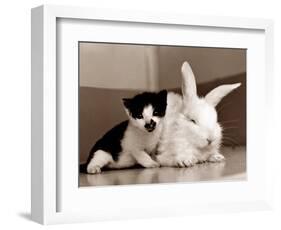 Untitled-null-Framed Photographic Print