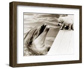 Untitled-null-Framed Photographic Print