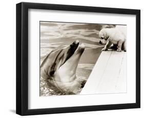 Untitled-null-Framed Photographic Print