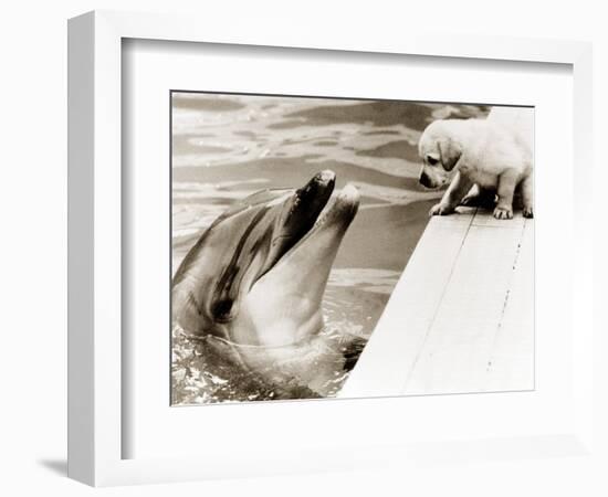 Untitled-null-Framed Photographic Print