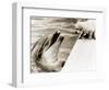 Untitled-null-Framed Photographic Print