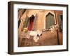 Untitled-Tim Kahane-Framed Premium Photographic Print