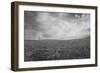 Untitled-Clive Nolan-Framed Photographic Print