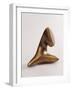 Untitled-Arp Jean-Framed Photographic Print