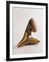 Untitled-Arp Jean-Framed Photographic Print