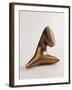 Untitled-Arp Jean-Framed Photographic Print