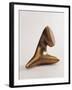 Untitled-Arp Jean-Framed Photographic Print