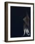 Untitled-Johan Lilja-Framed Photographic Print