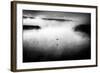 Untitled-Miki Meir Levi-Framed Photographic Print