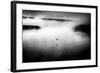 Untitled-Miki Meir Levi-Framed Photographic Print