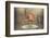 Untitled-Valeriya Tikhonova-Framed Photographic Print