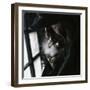 Untitled-Koki Jovanovic-Framed Photographic Print