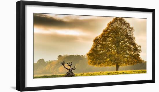 Untitled-Tudor Amot-Framed Premium Photographic Print