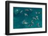 Untitled-Carlo Tonti-Framed Photographic Print