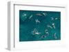 Untitled-Carlo Tonti-Framed Photographic Print