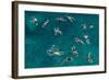 Untitled-Carlo Tonti-Framed Photographic Print