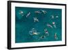 Untitled-Carlo Tonti-Framed Photographic Print