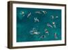 Untitled-Carlo Tonti-Framed Photographic Print