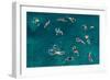 Untitled-Carlo Tonti-Framed Photographic Print