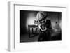 Untitled-Mario Grobenski --Framed Photographic Print