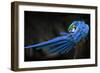 Untitled-Abbas Ali Amir-Framed Photographic Print