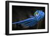 Untitled-Abbas Ali Amir-Framed Photographic Print