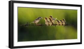 Untitled-Iwan Tirtha-Framed Photographic Print