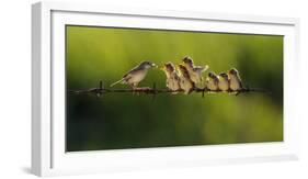 Untitled-Iwan Tirtha-Framed Photographic Print