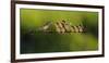 Untitled-Iwan Tirtha-Framed Photographic Print