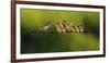 Untitled-Iwan Tirtha-Framed Photographic Print