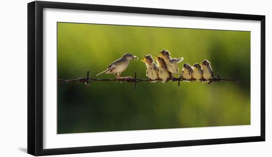 Untitled-Iwan Tirtha-Framed Premium Photographic Print