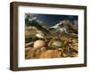 Untitled-Radoslav Penchev-Framed Photographic Print