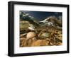 Untitled-Radoslav Penchev-Framed Photographic Print