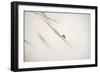 Untitled-Anna Cseresnjes-Framed Photographic Print