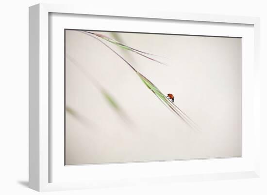 Untitled-Anna Cseresnjes-Framed Photographic Print