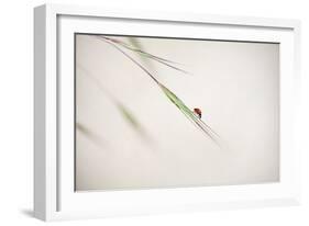 Untitled-Anna Cseresnjes-Framed Photographic Print