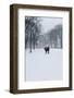 Untitled-Guilherme Pontes-Framed Photographic Print