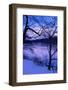 Untitled-Guilherme Pontes-Framed Photographic Print