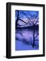 Untitled-Guilherme Pontes-Framed Photographic Print