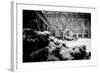 Untitled-Guilherme Pontes-Framed Photographic Print