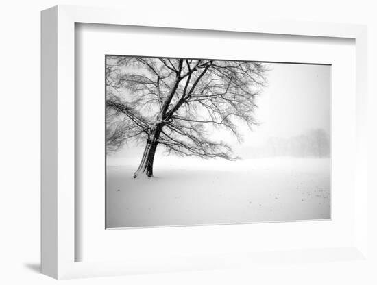 Untitled-Guilherme Pontes-Framed Photographic Print