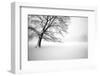 Untitled-Guilherme Pontes-Framed Photographic Print