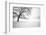 Untitled-Guilherme Pontes-Framed Photographic Print