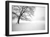 Untitled-Guilherme Pontes-Framed Photographic Print