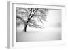 Untitled-Guilherme Pontes-Framed Photographic Print