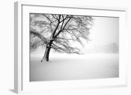 Untitled-Guilherme Pontes-Framed Photographic Print