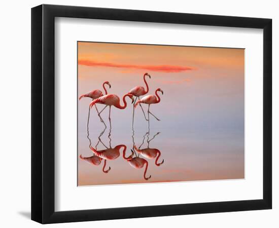 Untitled-Anna Cseresnjes-Framed Photographic Print